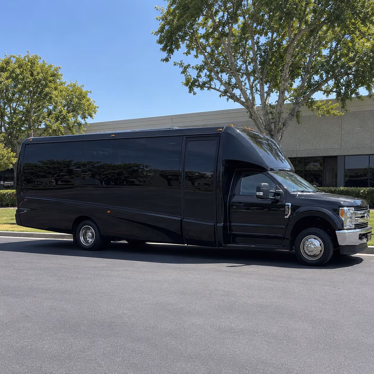 Group beside a Mercedes Sprinter limo in Virginia Beach
