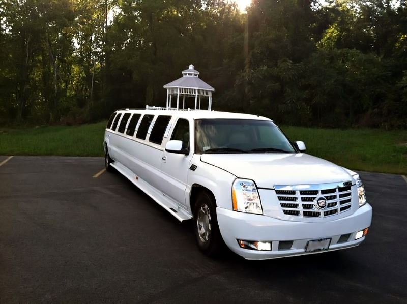 Virginia Beach 15 Passenger Limo