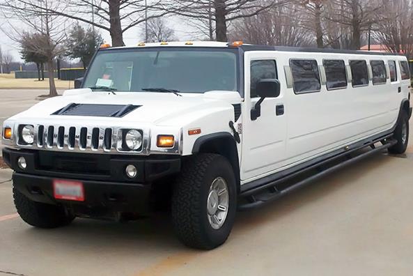 Virginia Beach 20 Passenger Limo